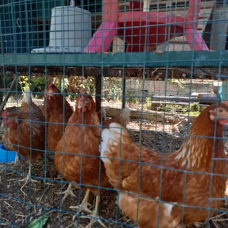 Con Piscina In Umbria Вилла Фолиньо