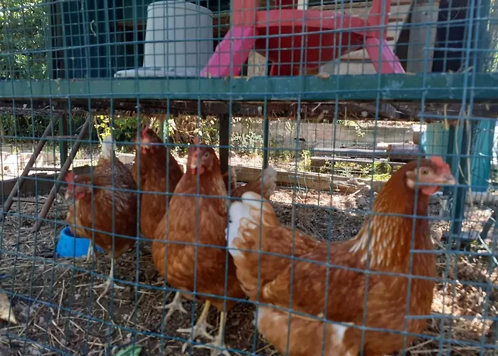 Con Piscina In Umbria Villa Foligno